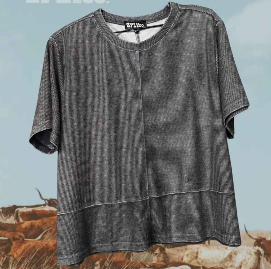 Grey Blouse